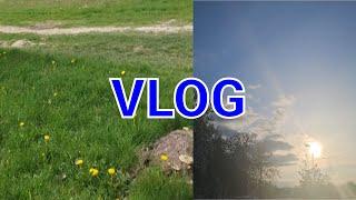 VLOG Z PODWÓRKA