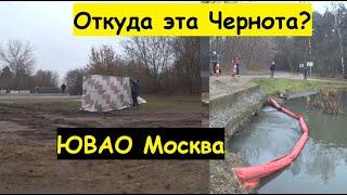 ЮВАО. Работы на кузьминских прудах в Москве. От чего очищают? Кузьминский парк и лес Выхино Жулебино