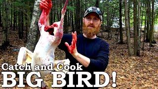 Catch and Cook TASTY Wild BIRD! | 100% WILD Food SURVIVAL Challenge!