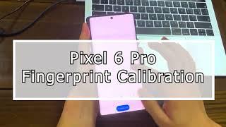 Fingerprint Calibration for Google Pixel 6 Pro