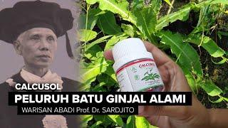 Kapsul Peluruh Batu Ginjal, Warisan Abadi Prof. Dr. Sardjito