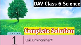 ||DAV Class 6 Science Chapter 1 Our Environment Solution||