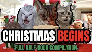 Cat MEMES: CHRISTMAS BEGINS - FULL HALF-HOUR COMPILATION