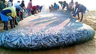  Woow!! Amazing !! Million 8k of fish catching unbelievable fishing video @fishnegombo