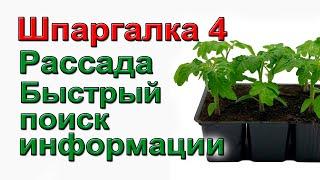 РАССАДА Как быстро найти нужное видео на моем канале  ШПАРГАЛКА 4