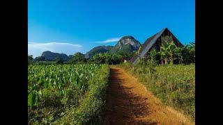 MTB VINALES in 1 minute  -   Cuba - Rienengeertopreis