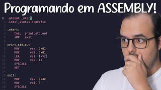 APRENDA a PROGRAMAR em ASSEMBLY!