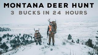 Montana Deer Hunt - A 2023 PNWild Film