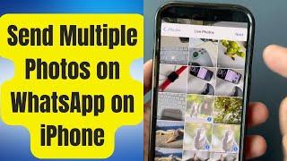 How to Send Multiple Photos on WhatsApp for iPhone (2025)