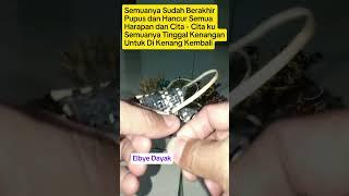 #sorotan#pengikut#videoku#kenanganlama#waktudulu