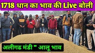 1718 धान की Live बोली  1718 dhan ka bhav | dhan ka bhav | aligarh mandi dhan bhav / dhaan