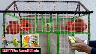 How to Make Love Birds Cage at Home Simple | Birds Palace