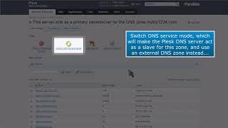 Plesk: How to Manage DNS Zones