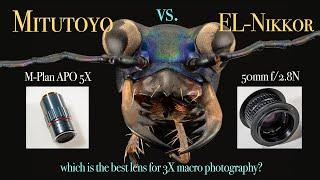 Nikkor 50mm f/2.8N  vs Mitutoyo M-Plan APO objective - Best 3X lens?