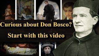 Don Bosco's Story: Mysterious Dogs, Miracles, and a Mission from God