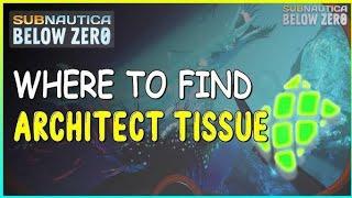 Subnautica Below Zero - Alien Architect Tissues