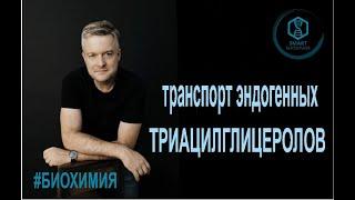 Биохимия: Транспорт эндогенных триацилглицеролов