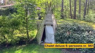 Chalet Deluxe 6-persoons nr. 961