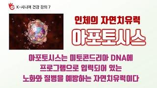 [아포토시스 인체 자연치유력] 아포토시스세포자살ㅣ네크로시스세포괴사ㅣ2002노벨생리의학상ㅣ아포토시스는 미토콘드리아에 프로그래밍 되어 있는 노화와 질병을 막는 세포의 자연치유력이다.