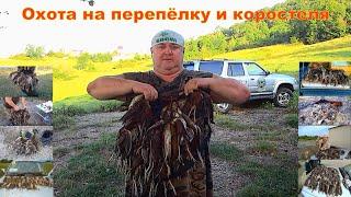 Охота на перепёлку и коростеля с легавыми собаками в Краснодарском крае Лучшее