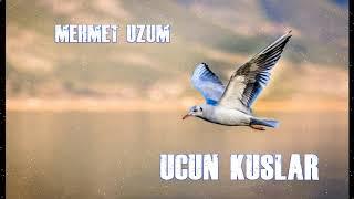 Mehmet ÜZÜM  - Uçun Kuşlar İlahisi