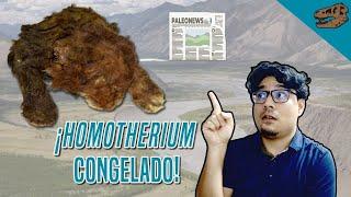 PALEONEWS: ¡Descubren un Homotherium congelado!