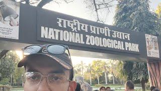 राष्ट्रीय प्राणी उद्यान - चिड़ियाघर दिल्ली  Inside National Zoological Park Delhi