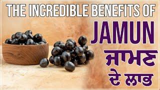 The Incredible Benefits of Jamun | ਜਾਮਣ ਦੇ ਲਾਭ