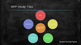 MBTI INTP Study Tips