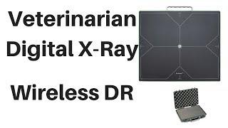 Veterinary Digital X-Ray - WIRELESS DR Mobile System