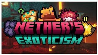 THE BEST NETHER ENHANCING MOD! (Nether's Exoticism)