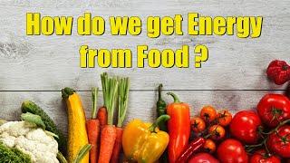 How do we get Energy from Food?