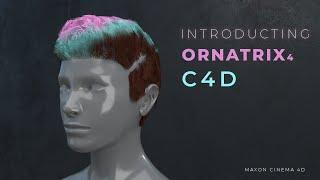 Cinema 4D: Introduction to Ornatrix Plugin for C4D