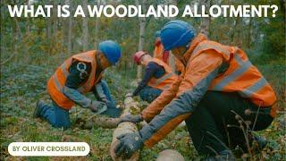 What is a Woodland Allotment?