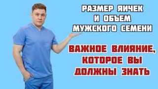 Увеличение объема мужского семени: что говорит размер яичек?