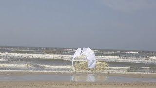 STRANDBEEST EVOLUTION 2018