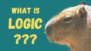 What Is Logic | The Study of Correct Reasoning