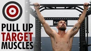 Pull Up Variations and Muscles Worked