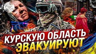 Из Курской области начали эвакуацию людей в Москву на фоне украинского наступления