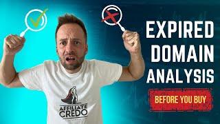 How to Analyze Expired Domains Before you Buy at Auction