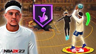 *NEW* 2-WAY PLAYSHOT Build Gets HOF Defensive Badges+Contact Dunks On NBA 2K23