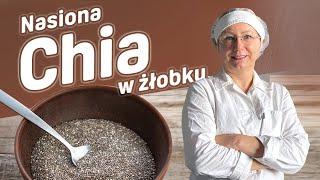 Najlepszy pomysł na pudding chia superfoods jak w żłobku