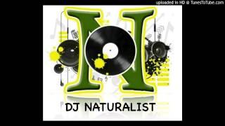 Dj Naturalist interviewed Kevaughn Ellis  ( Why)