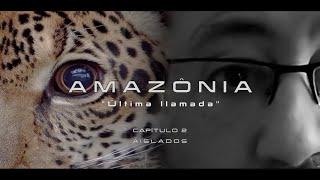 AMAZÔNIA "última llamada" Aislados.