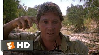 The Crocodile Hunter: Collision Course (5/10) Movie CLIP - Steve Flirts With a Spider (2002) HD