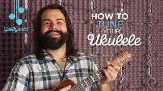 Tuning A Ukulele - Ten Thumbs Pro Tutorial for Beginners (Jellynote Lesson)