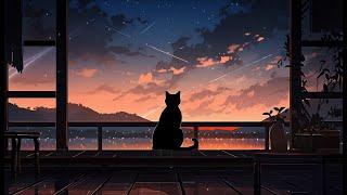 A day in the life of cat's  Lofi cat | just want to help you relax  Relaxing Lofi Beats