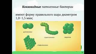 1 Лекция  По микробиологии Микробиология: предмет, задачи, Систематика, номенклатура, классификация