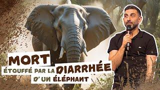 MORT ÉTOUFFÉ PAR LA DIARRHÉE D'UN ÉLÉPHANT (histoire vraie)