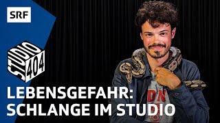 Weniger Aargauer:innen dank veganen Kondomen | Studio 404 mit Meury | SRF